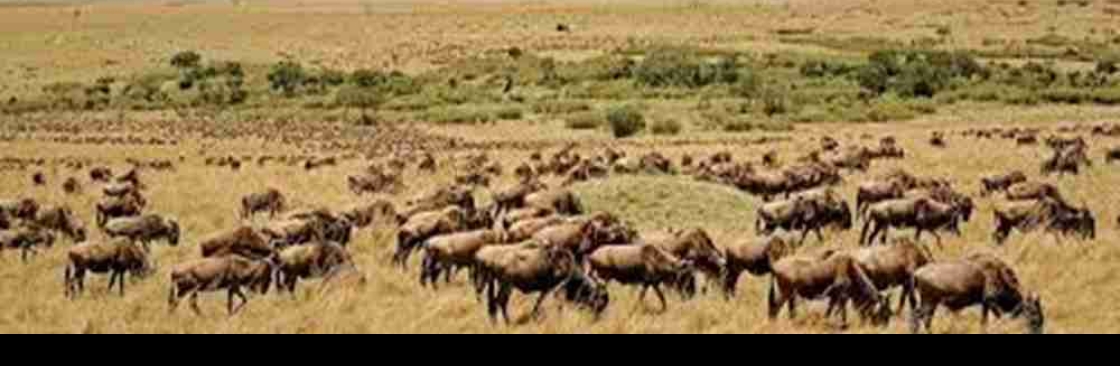 Asante Travel Group Cover Image