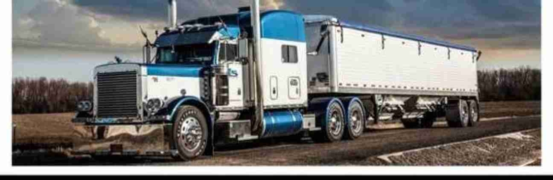 Best Tarps Cover Image