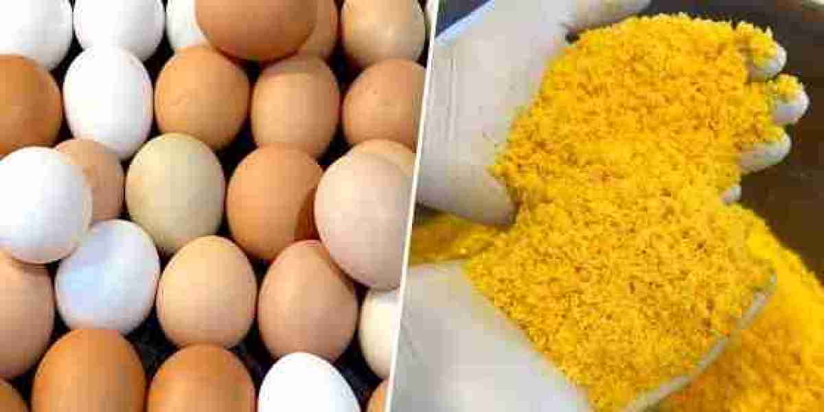 Whole Egg Powder Manufacturing Plant Setup Report 2025 | Cost Structure, Utilities and Financial Projections