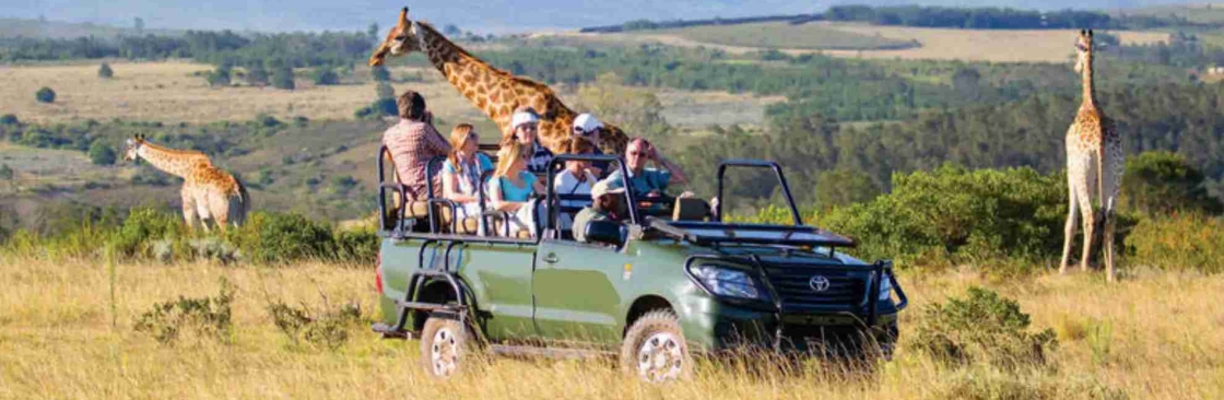 kingse Safaris Cover Image