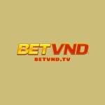 BETVND Profile Picture