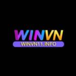 WINVN Profile Picture