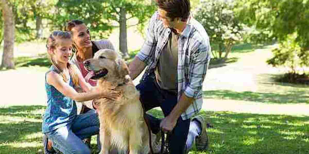 Lifestyle: Simple Habits That Shape the Way We Live