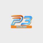 P3 Profile Picture