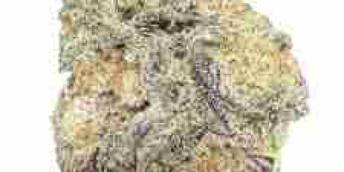 Article Picture