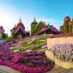 landscaping comerciiel Profile Picture