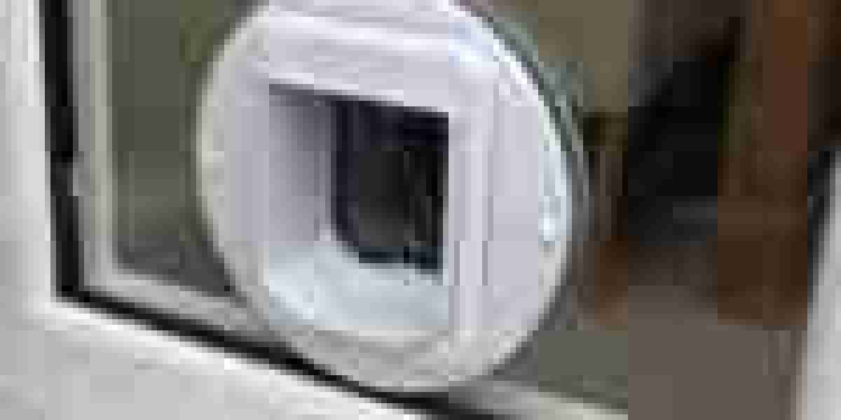 Where Will Professional Cat Flap Installer Be 1 Year From This Year?