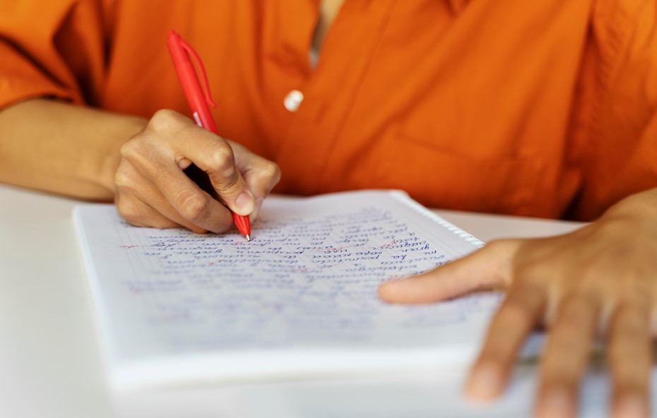 Write a Composition in Simple Steps: Improve Your Paragraph Writing Skills