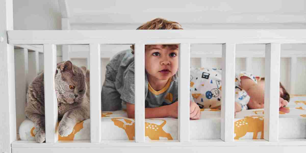 What Is Cot Newborn And Why Is Everyone Speakin' About It?