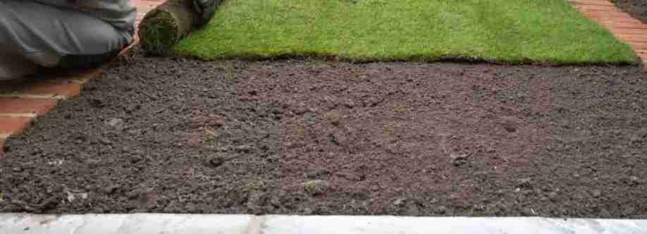 buffalo turf sydney Cover Image