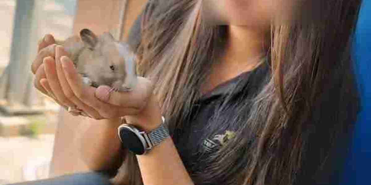 Experience True Companionship with the Finest Gurgaon Escorts