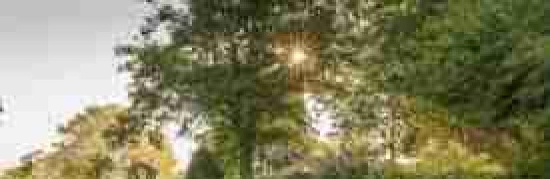 Jeremy Allen Garden Design Cover Image