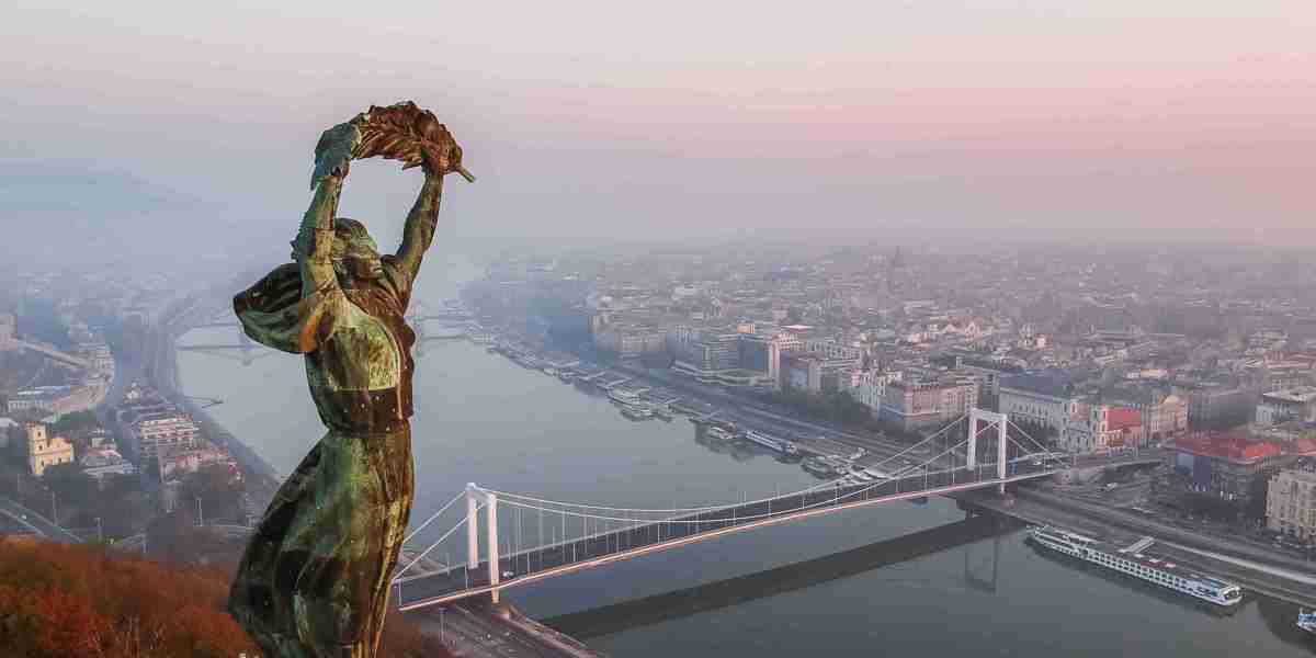 "Ask Me Anything:10 Responses To Your Questions About Hungarian Driver's License Agency