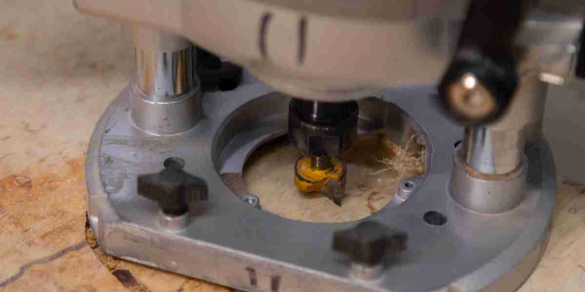 15 Presents For Your Router In A Case Lover In Your Life