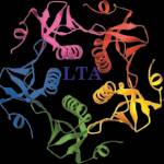 Letstalk Academy profile picture